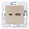 SKANDY Розетка USB A+C 3,1А SK-R14Sa песочный IEK2