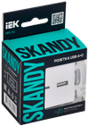 SKANDY Розетка USB A+C 3,1А SK-R14W арктический белый IEK1