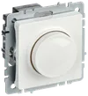 BRITE Светорегулятор поворотно-нажимной 600Вт СС10-1-0-БрБ белый IEK0
