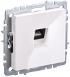 BRITE Розетка компьютерная RJ45 кат.5E РК10-БрБ белый IEK0