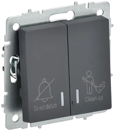BRITE 2-gang switch with indication for hotels 10А ВС10-2-9-BrG graphite IEK