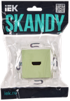 SKANDY Розетка HDMI SK-H01G мятный IEK1