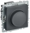 BRITE Светорегулятор поворотно-нажимной 600Вт СС10-1-0-БрГ графит IEK0