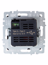 BRITE Розетка USB A+C 18Вт РЮ11-1-БрГ графит IEK3