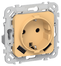 FLITE Розетка 1-местная с заземлением с защитными шторками 16А с USB A+A 3,1А безвинтовое крепление РСЮша11-1-ФлЗ золотарник IEK