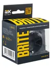 BRITE Socket outlet 1-gang with earthing with protective shutters 16A with USB A+C 18W RUSh11-1-BrM marengo IEK6