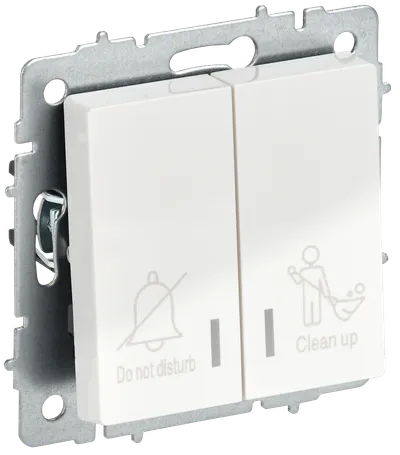 BRITE 2-gang switch with indication for hotels 10А ВС10-2-9-BrB white IEK