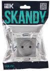 SKANDY Розетка без заземления с защитными шторками 10А SK-R01S серебряный IEK1