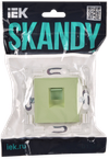 SKANDY Розетка компьютерная RJ45 кат.6 SK-K02G мятный IEK1