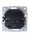 BRITE Розетка 1-местная с заземлением с защитными шторками 16А с USB A+A 5В 2,1А РЮш10-1-БрГ графит IEK3