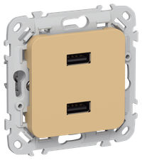 FLITE Розетка USB A+A 3,1А РЮ-2-ФлШм шамуа IEK