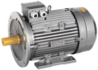 Электродвигатель асинхронный трехфазный АИС 355MB6 660В 200кВт 1000об/мин 2081 DRIVE IEK