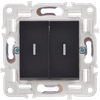 SKANDY Выключатель 2-клавишный проходной с индикацией 10А SK-V10Bl черный IEK2