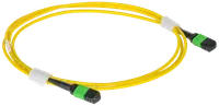 ITK Сборка кабельная MPO/APC female-MPO/APC female тип А 12ОВ SM OS2 4м