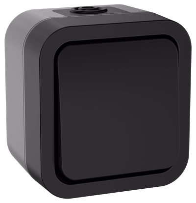 TORS Выключатель двухполюсный одноклавишный 10А IP55 TS111 графит IEK