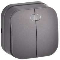GLORY Switch 2-gang for open installation with indication 10A BC20-2-1-ХСм matte steel IEK