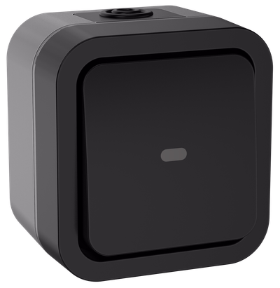 TORS Переключатель одноклавишный с индикацией 10А IP55 TS102 графит IEK