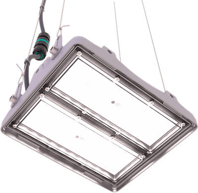Светильник L-pixel 1/50/Д/850/01/R5/I1-D1/MT-KM/220AC IP66 RAL7035 LEDEL