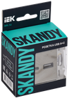 SKANDY Розетка USB A+C 3,1А SK-R14N металл никель IEK1