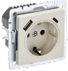 BRITE Socket outlet 1-gang grounded with protective shutters 16A with USB A+C 18W PYush11-1-BrKr beige IEK0