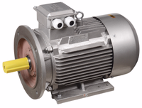 El.Motor.3Ph.AIR 160M2 660V 18,5kW 3000rpm 2081 DRIVE IEK