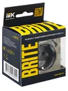 BRITE Socket 1gang grounded with protective shutters 16A with USB A+A 5V 2.1A RUSH10-1-BRSH champagne IEK6