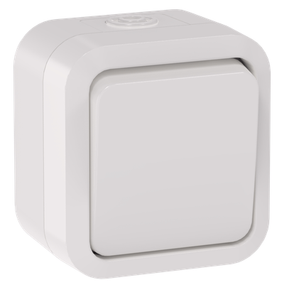 TORS Выключатель двухполюсный одноклавишный 10А IP55 TS311 белый IEK