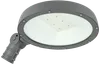 Светильник светодиодный консольный ДКУ Парк 2001-100Д 5000К IP65 IEK0