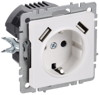 BRITE Розетка 1-местная с заземлением с защитными шторками 16А с USB A+A 5В 3,1А РЮш10-2-БрАБ арктический белый IEK