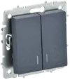 BRITE 2-gang switch with indication for hotels 10А ВС10-2-9-BrM marengo IEK0