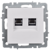 BRITE Розетка компьютерная двойная кат.5E RJ45 РК10-2-БрБ белый IEK2
