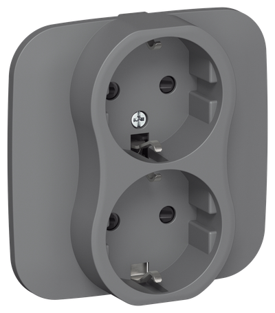 FLITE 2-gang socket with grounding with protective shutters 16A RSsh12-0-A-FlMA wet asphalt IEK