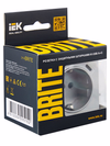 BRITE Розетка 1-местная с заземлением с защитными шторками 16А с USB A+C 18Вт РЮш11-1-БрА алюминий IEK5