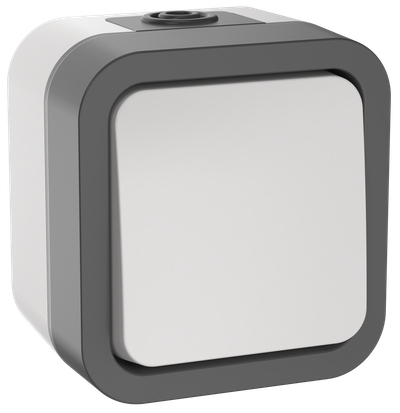 TORS Выключатель двухполюсный одноклавишный 10А IP55 TS211 серо-белый IEK