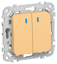 FLITE Выключатель 2-клавишный кнопочный с индикацией 10А ВС12-2-1-ФлЗ золотарник IEK