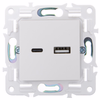 SKANDY Розетка USB A+C 3,1А SK-R14W арктический белый IEK2
