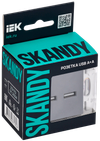 SKANDY Розетка USB A+A 3,1А SK-R15Gr серый IEK1