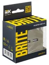 BRITE USB socket A+A 5V 3.1A RYu10-1-BrSh champagne IEK6
