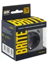 BRITE Socket outlet 1-gang with earthing with protective shutters 16A with USB A+C 18W RUSh11-1-BrS steel IEK6