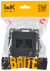 BRITE RJ11+RJ45 socket Cat.5e PK/T12-BrG graphite IEK1