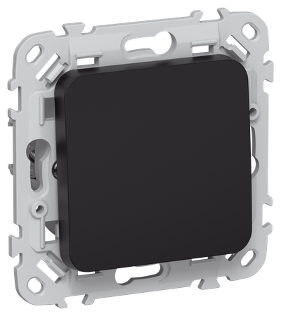 FLITE Switch 1-gang 2-pole pass-through 10A BC6/21-1-0-FLCH black IEK