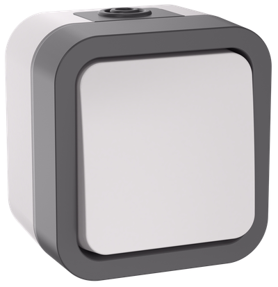 TORS Переключатель одноклавишный 10А IP55 TS201 серо-белый IEK