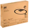 Светильник светодиодный консольный ДКУ Парк 2001-100Д 5000К IP65 IEK1
