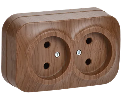RS22-2-XD Double socket without grounding contact 10A with opening installation GLORY (oak) IEK