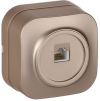 GLORY Розетка для открытой установки компьютерная RJ45 кат.5E РК10-ХШм шампань матовый IEK