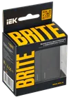 BRITE 2-gang switch with indication for hotels 10A VS10-2-9-BrCh black IEK1