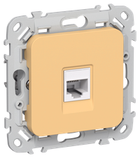 FLITE Розетка компьютерная RJ45 категория 6 UTP РК6-1-0-ФлЗ золотарник IEK