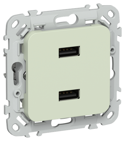 FLITE Розетка USB A+A 3,1А РЮ-2-ФлП панг IEK