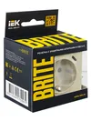 BRITE Socket outlet 1-gang grounded with protective shutters 16A with USB A+C 18W PYush11-1-BrKr beige IEK7