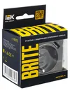 BRITE Socket outlet 1-gang with earthing with protective shutters 16A with USB A+A 5V 3.1A RUSh10-2-BrS steel IEK6